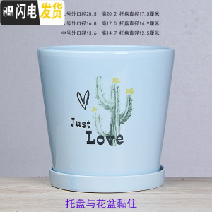 三维工匠白色欧式花盆陶瓷特大中三号绿植盆栽创意简约花盆带托盘 T-GJ300-11蓝仙人掌 特大花盆容器
