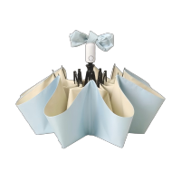 友谊船 全自动雨伞女晴雨两用折叠太阳伞防晒防紫外线彩胶ins高定遮阳伞 个