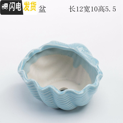 三维工匠少女心创意个性中大号口径拇指好看的多肉植物花盆器陶瓷 浅蓝海贝盆 中等花盆容器