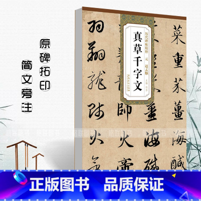 [正版]元赵孟頫真草千字文历代碑帖精粹简体旁注杜浩草书毛笔字帖碑帖元代名家书法临摹练字帖原碑原帖安徽美术出版社