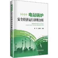 正版新书]电站锅炉安全经济运行诊断分析秦淇;王春玉9787519859