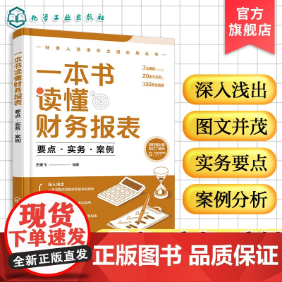 一本书读懂财务报表 要点 实务 案例 财务人员进阶之道实战系列书籍 财务报表奥秘一本通 全面解读财务报表 财务报表从入门