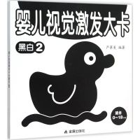音像婴儿视觉激发大卡严翠美 编著