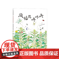 凤仙花咚咚咚 文明诣 著 儿童绘本