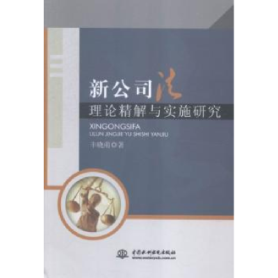 音像新公司理精解与实施研究丰晓萌著