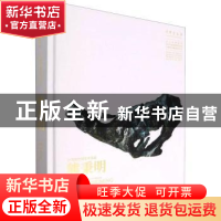 正版 20世纪中国艺术名家熊秉明(精) 吴为山 文化艺术出版社 9787