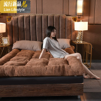 床垫冬季加厚保暖羊羔绒床垫1.2米学生宿舍单人海绵软垫家用1.5床 三维工匠