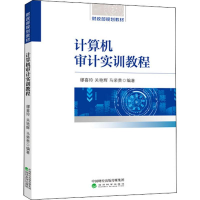 音像计算机审计实训教程缪喜玲,关艳辉,马荣贵