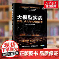 大模型实战 微调 优化与私有化部署 庄建 优化与私有化部署 大模型应用开发项目实战 多领域智能应用开发 RAG技术应用与