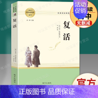 复活.南方出版社 [正版]堂吉诃德 (西班牙)塞万提斯原著 名著阅读高中语文高一高二高三学生课外阅读书籍经典名著阅读课程