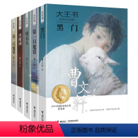 全5册 [正版]曹文轩大王书系列 套装全5册 第一二只魔袋+黑门+火橡树+母石头9-12-15岁儿童文学中小学生长篇幻想