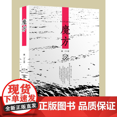 魔方 戴子 安徽文艺出版社 正版书籍