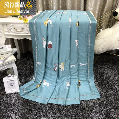 夏季丝滑天丝莱赛尔夏凉被单双人空调被薄被子夏被1.5m2米 三维工匠