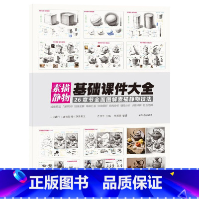 [正版]素描静物基础课件大全 2020杨境业彦和文化