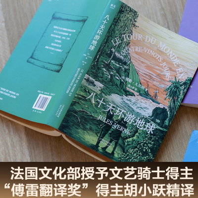 少年维特之烦恼 歌德小说 原汁原味读原著八十天环游地球 青少年版班主任推荐