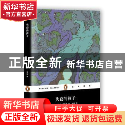 正版 失窃的孩子 (美)凯斯·唐纳胡 著 柏栎 译 上海文艺出版社