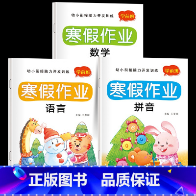 [全3册]幼小衔接寒假作业 [正版]幼小衔接数学语言拼音寒假预复习寒假作业幼小衔接一日一练幼儿园学前班中班大班练习册全套