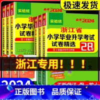 [4本语文+数学]毕业升学考试+押题卷 语文+数学 小学通用 [正版]2024实验班浙江省小学毕业升学考试试卷精选28套
