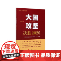 大国攻坚(决胜2020)/中央党校国家行政学院智库系列丛