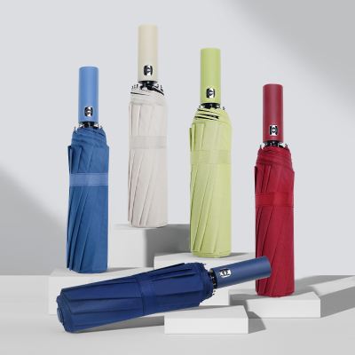 红叶(Hong Ye)红叶24双龙骨晴雨伞女男全自动防晒折叠防紫外线抗风雨伞W3581