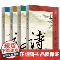 插图鉴赏中国古代文学魅力系列 元曲的魅力/唐诗的魅力/宋词的魅力/古文的魅力 上海辞书出版社文学鉴赏辞典编纂中心编古代文