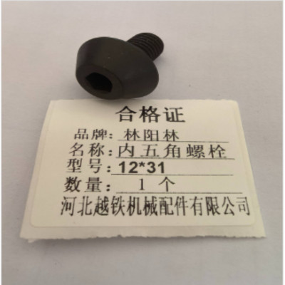 林阳林 内五角螺栓 12*31 个