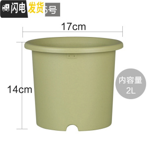 三维工匠彩色Deepot深型月季铁线莲花盆树脂花盆塑料加仑花盆 5号浅绿直径约17厘米[5号两个起发] 中等花盆容器