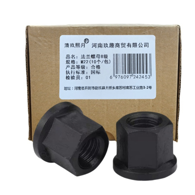 清玖熙月 法兰螺母8级 M22(10个/包)包