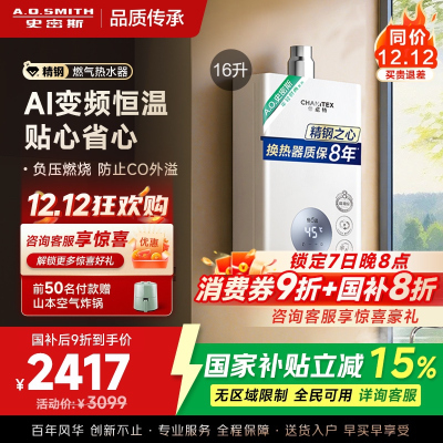 AO史密斯佳尼特16升燃气热水器佳尼特 不锈钢换热器8年包换 恒温大水量 抗风防冻 JSQ31-TC1