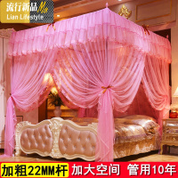 蚊帐加粗支架1.5米1.8床加密落地宫廷公主纹帐1.0m双人家用 三维工匠