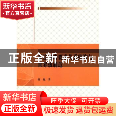 正版 制造战略要素关系结构与世界级制造 杨槐著 科学出版社 9787