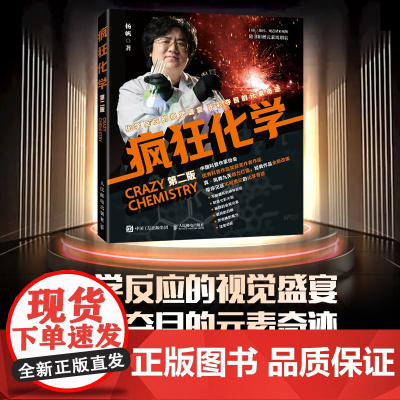 疯狂化学(*版) 初中高中化学 科普读物 化学实验 化学世界 彩色插图