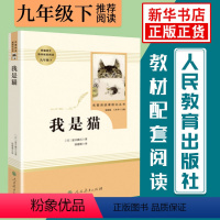 我是猫 [正版][人教版] 儒林外史简爱书籍原著人民教育出版社 简爱和儒林外史九年级下册语文三课外阅读文学名著