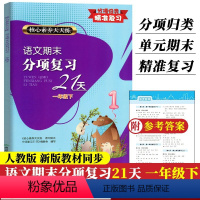 语文 一年级下 [正版]新版 语文期末分项复习21天 一年级下册 核心素养天天练 单元同步测试卷期中末综合复习冲刺检测试