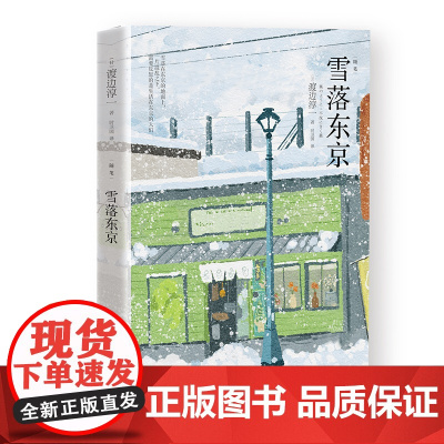 雪落东京(渡边淳一)