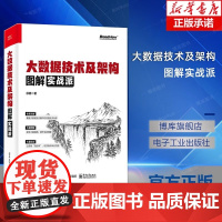 大数据技术及架构图解实战派 数据采集数据存储分布式资源管理数据计算数据分析数据检索大数据集群安装与管理书籍 徐葳
