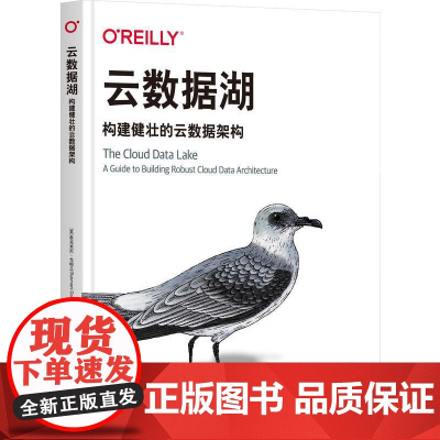 机工 云数据湖:构建健壮的云数据架构 [美]鲁克米尼·戈帕兰(Rukmani Gopalan)