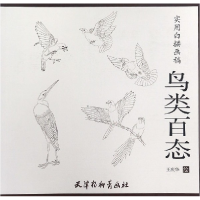 音像鸟类百态(实用白描画稿)绘画:王庆华