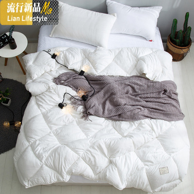 冬季被子加厚冬天太空被芯保暖单双人学生宿舍保暖被褥子棉被春秋 三维工匠