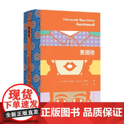 阿迪契作品 美国佬 奇玛曼达·恩戈兹·阿迪契 著 小说