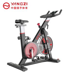 扬子(YANGZI)动感单车健身脚踏车YZ-S34 黑色