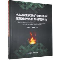 正版新书]水与伴生黄铁矿协同诱导煤氧化放热自燃机理研究王彩萍