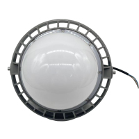 驰洛科 CLSF50-100GP 220V 100W IP65 三防灯 (计价单位:个) 银灰色