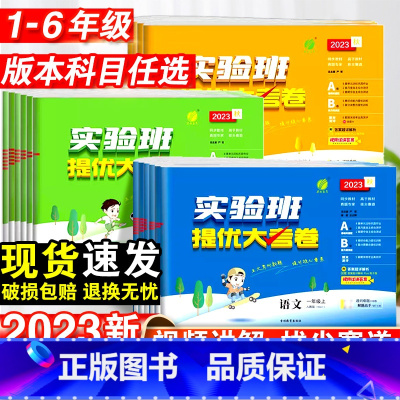 数学·人教版 六年级下 [正版]2023新实验班提优大考卷小学一二三四五六年级上下册语文数学英语人教版苏教北师大版单元同