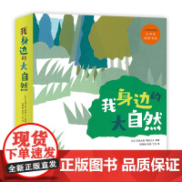 我身边的大自然(全8册)科普观察绘本 科学启蒙 爱心树绘本 亲子共读