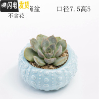 三维工匠少女心创意个性中大号口径拇指好看的多肉植物花盆器陶瓷 浅蓝水滴盆 中等花盆容器