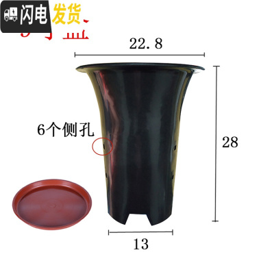 三维工匠园艺兰花盆塑料大中小号透气黑色带孔国兰君子兰墨兰花专用盆 9寸加红色托盘 同规格5个(送网套)花盆容器