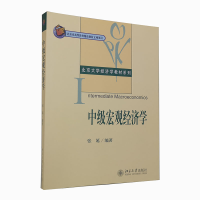 音像中级宏观经济学/北京大学经济学教材系列张延