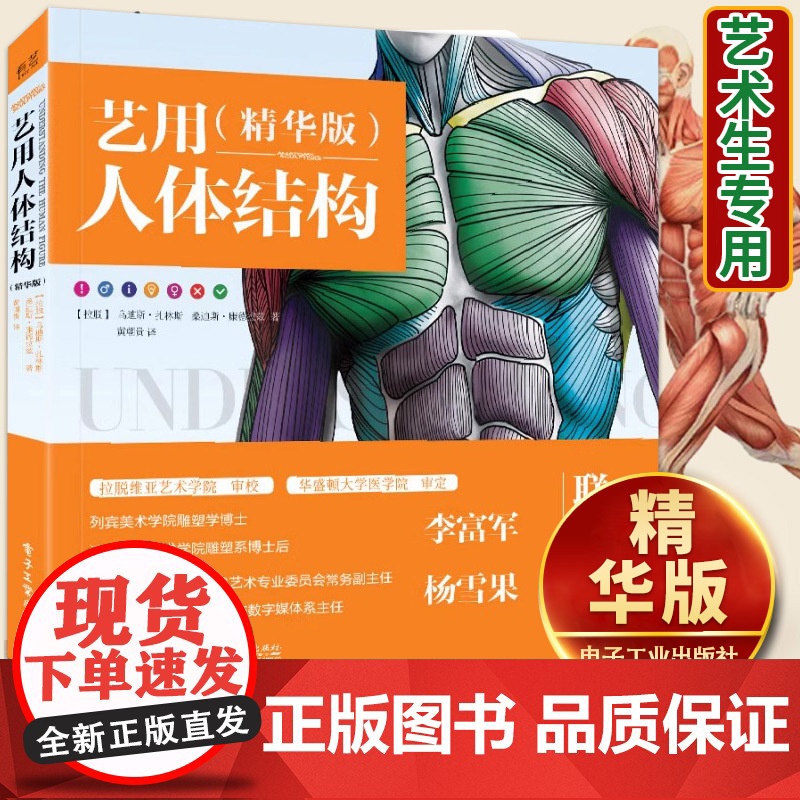 [正版书籍]黄朝贵哥艺用人体结构解剖精华版 解刨教程大师速写画集理解人体形态伯里曼人体素描书肌肉结构五官骨骼动漫书籍
