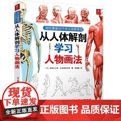 「人体结构」从人体解剖学习人物画法 漫画人物画法完全解析 动态捕捉/肌肉骨骼透视技法 职业漫画家进阶教程 正版书籍